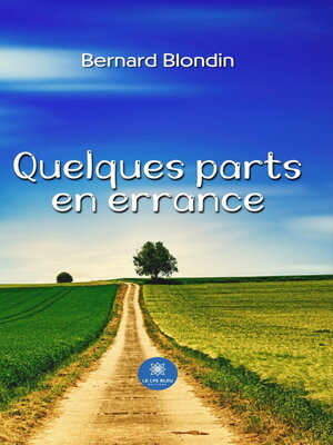 cover image of Quelques parts en errance